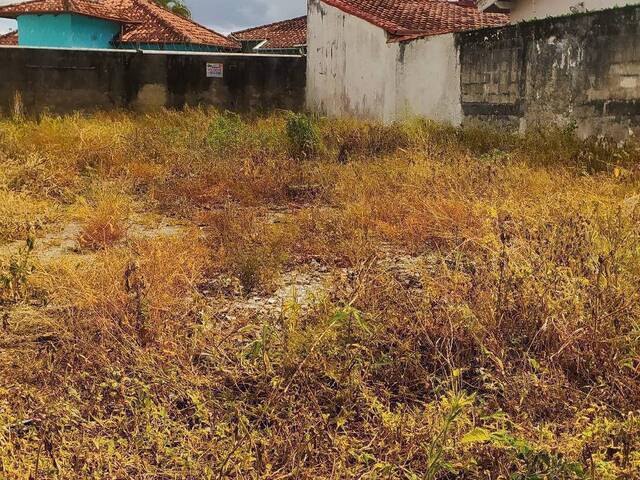 Terreno para Venda em Caraguatatuba - 2