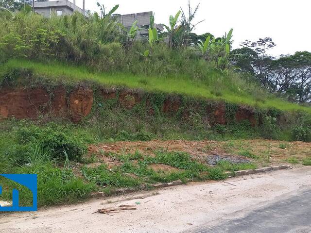 Terreno para Venda em Caraguatatuba - 3