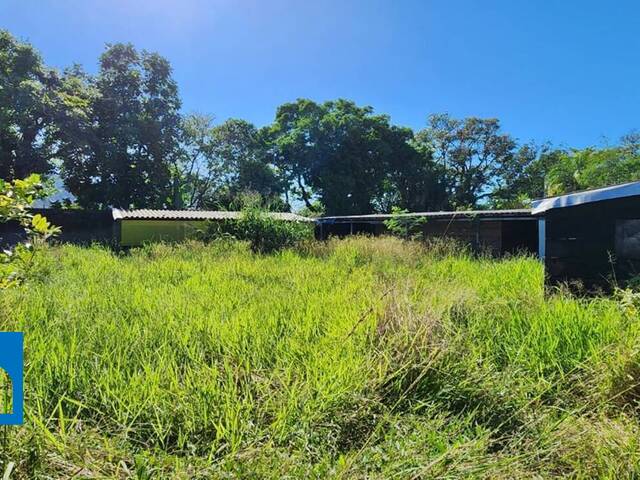 Terreno para Venda em Caraguatatuba - 4